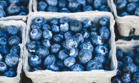 blueberry fruit on gray container