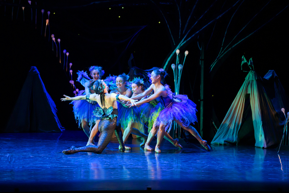 RNZB in 'A Midsummer Night's Dream'. Photo by Stephen A'Court.