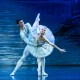 Royal Czech Ballet in 'Swan Lake'.